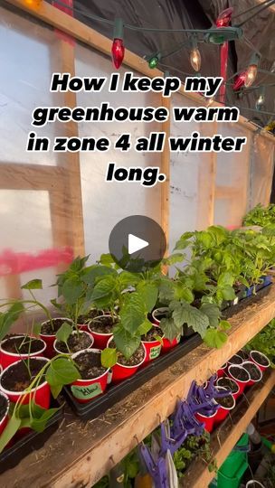 Zone 4 Winter Garden, High Tunnel Greenhouse Layout, Maximize Greenhouse Space, Green House For Winter Cold Weather, How To Heat Greenhouse In Winter, Heating A Greenhouse Without Electricity, Greenhouse Heating Ideas, Greenhouse Temperature, Greenhouse Porch