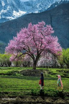 Pakistan Photography, Trying For A Baby, Aesthetic Mountains, Pakistan Travel, Khyber Pakhtunkhwa, Mountains Travel, Wallpaper Earth, Gilgit Baltistan, Italy Aesthetic