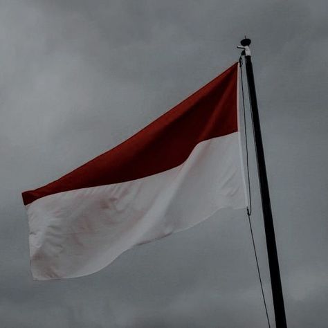 Monaco Aesthetic, Monaco Flag, Flag Aesthetic, Canada Flag, Monaco, Country Flags, Wind Sock, Around The Worlds, Flag