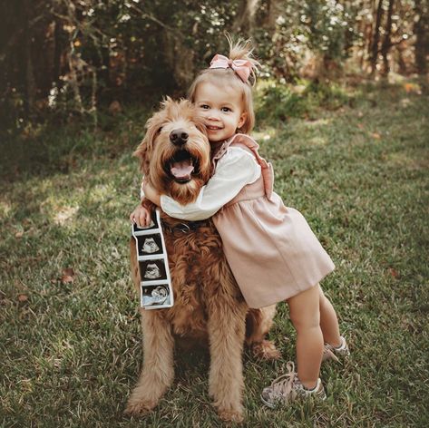 Big Brother Announcement With Dog, Baby Announcing Ideas With Big Sister, Announce Baby #2, Dog Big Sister Announcement, Spring Pregnancy Announcement Baby 2, Christmas Baby Announcement With Sibling, Second Grandchild Announcement, Pregnancy Announcement With Toddler Girl, Baby No 2 Announcement