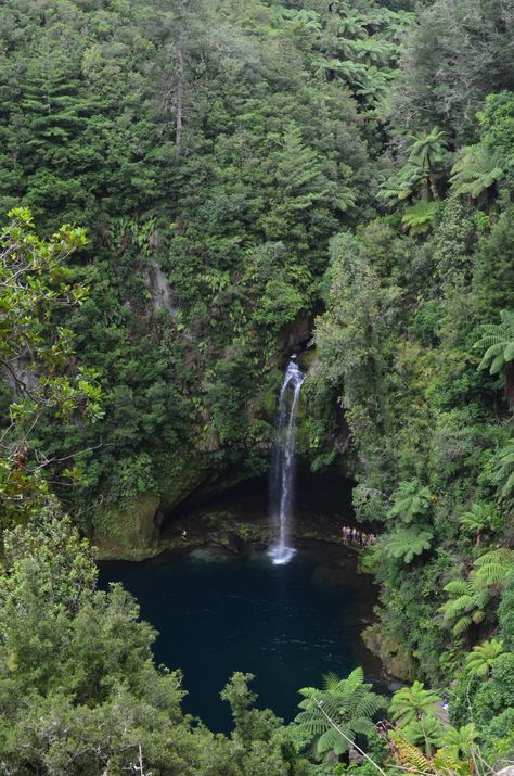 Omanawa Falls (Tauranga) - 2019 All You Need to Know Before You Go (with Photos) - Tauranga, New Zealand | TripAdvisor Tauranga New Zealand, Rock Path, New Zealand Landscape, Bay Of Islands, New Zealand Houses, Bay Of Plenty, Romantic Places, Dry Rub, New Zealand Travel