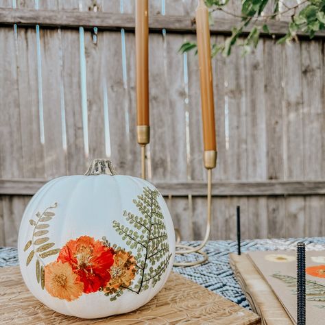 🚨New class🚨 Come on down and make some pressed flower pumpkins with us! 🌸🎃🌼 All supplies provided! Yes, we’re using a fake pumpkin so that you can keep this for next year too! October 26th at 10:30am at @chirpsandcheers If you want, stay after the class and get in on daisy ghost 👻 class too at 1pm! Comment “pumpkin” for the sign up link! #thingstodoinokc #midtownokc #pressedflowerpumpkins #pressedflowerart Flower Pumpkins, Fake Pumpkins, Pumpkin Flower, Pressed Flower Art, New Class, The Class, Pressed Flower, Pressed Flowers, Pumpkins