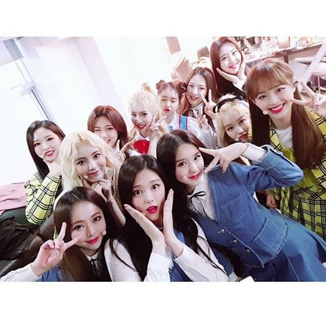 LOONA group photo ot12 ||🌸💕 @loonatheworld Loona Ot12, Trivia Quiz, Odd Eyes, Olivia Hye, Love You All, Kpop Girl Groups, Old Pictures, A Group, K Idols