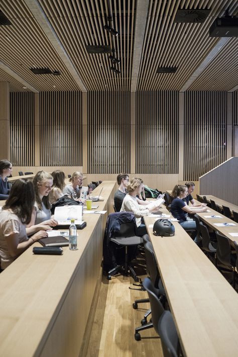 University Lectures, Lectures Room, Modern Coat Rack, Aesthetic Study, Lectures Hall, College Aesthetic, Uni Life, University Life, Dream School