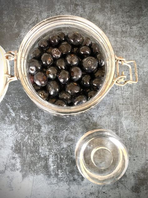 Fermented Blueberries | The Raw Food Kitchen Honey Fermented Blueberries, Fermented Blueberries, Fermenting Weights, Low Gi, Wide Mouth Mason Jars, Lactobacillus Acidophilus, Blueberry Recipes, Raw Food, Raw Honey