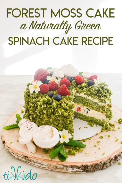 Forest Moss Cake Recipe Spinach Cake Recipe, Cake Moss, Moss Cake, Spinach Cake, Matcha Cake, Forest Moss, Green Cake, Egg Cake, Forest Cake