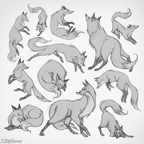 Fox Drawing Sketches, Fox Sketch, Art Fox, Fox Drawing, Animal Study, Fox Art, Animal Sketches, Art Poses, Drawing Tutorials