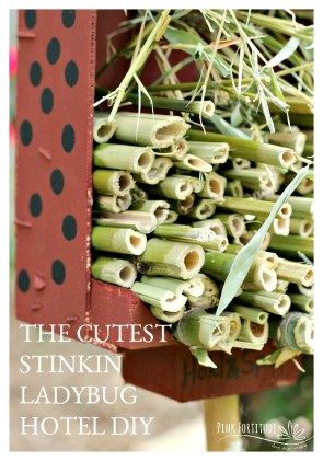 This project was one epic failure after another. I almost gave up. Several times. But persistence paid off and we now have a ladybug hotel in our garden. It's made with 100% sustainable and organic materials and it turned out to be pretty stinkin cute. Even with all of the frustration and failures. I'll give you the behind the scenes of the ladybug hotel that almost didn't make it. Ladybug House, Homesteading Diy, Bug Hotel, A Ladybug, Harvest Recipes, Paid Off, Family Crafts, Gave Up, Upcycle Projects