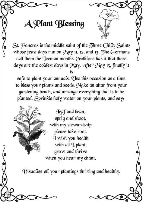 Herbal Magick | Spellwork - Plant/Seed Blessing ~ Also, be sure to plant, transplant, prune, etc with the correct astrological sign and phase of the moon for great success  ~  ad Witchy Garden, Witch Herbs, Witch Garden, Plants Growing, Magick Spells, Wiccan Spell Book, Witch Spell Book, Hedge Witch, Wicca Witchcraft