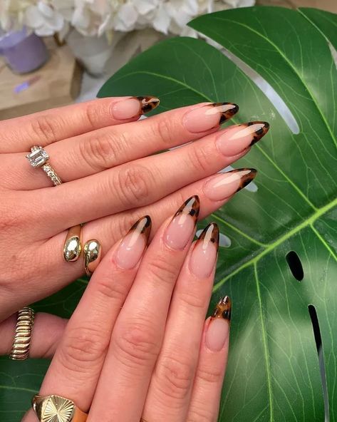 Tortoise Nails, Tortoise Shell Nails, Fall Almond Nails, Tortoise Shell Print, Shell Nails, Cheetah Nails, Shell Print, Cute Spring Nails, Basic Nails