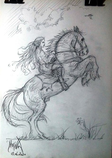 girl riding horse Human Riding A Horse Drawing, Ride Horse Drawing, Horse On Hind Legs Drawing, Horse Riding Sketch, Horse Riding Drawing Reference, Man On Horse Drawing, Horse And Girl Drawing, Horse Riding Pose Reference, Riding A Horse Drawing