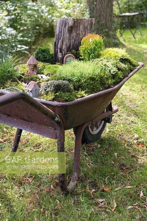 Planted Wheelbarrow, Miniature Conifers, Miniature Garden Design, Wheelbarrow Planter, Fall Garden Decor, Wheelbarrow Garden, Garden Tattoos, Small Garden Landscape, Plant Containers