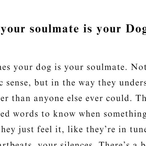 R. M. Drake on Instagram: "When your dog is your soulmate, it’s a connection beyond words. It’s not about commands or tricks; it’s about the way they just get you, without needing to ask. They’re there in your quiet moments, the ones no one else notices. 

They sense when something’s off, and they stick close, not because they have to, but because they want to. It’s a bond that feels deeper than anything you can explain—a quiet understanding, a shared rhythm. You don’t have to pretend around them, don’t have to explain. They just know, and somehow, that’s enough.

Dog People is now available via the link in my bio." Missing Quotes, Missing You Quotes, Soulmate Quotes, Dog People, Beyond Words, Quiet Moments, Thoughts And Feelings, Unconditional Love, Dog Love