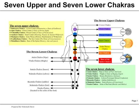 The chakras below Muladhara - Spiritual Forums Pineal Gland Facts, Vishuddha Chakra, Chakra Chart, Lower Chakras, Muladhara Chakra, Manipura Chakra, Anahata Chakra, The Chakras, Chakra System