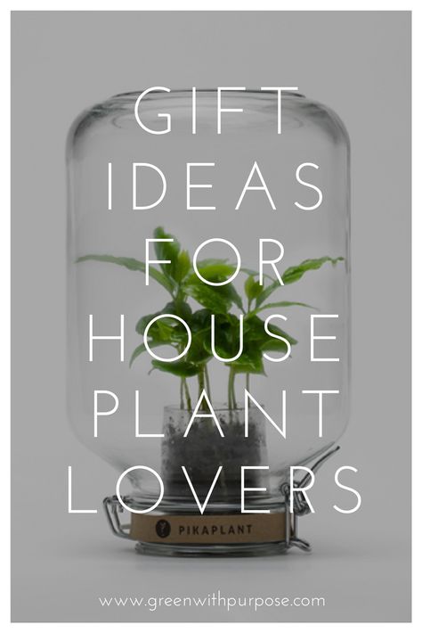 Gift ideas for houseplant lovers for this season Christmas Gifts For Plant Lovers, Plant Lovers Gifts, Plant Lover Gift Ideas, Plant Gifts Ideas, Plant Gift Ideas Diy, Houseplant Diy, Gift Ideas For Plant Lovers, Plants Gift Ideas, Botanical Gifts