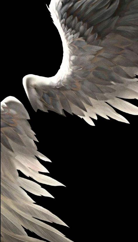 Angel Wing Wallpaper, Wings Wallpaper Aesthetic, Keeho Pfp, Wings Wallpaper, Cute Tumblr Wallpaper, Iphone Wallpaper Pattern, Greek Art, Phone Design, Tumblr Wallpaper