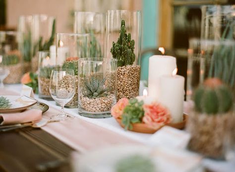 Stylish succulents Mexican Centerpiece, Diy Succulents Centerpiece, Mexican Inspired Wedding, Succulent Centerpieces, Spanish Wedding, Boda Mexicana, Coral Wedding, Succulent Wedding, Terraria