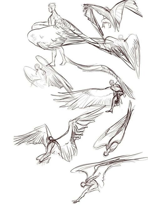 Flying Poses, Wings Drawing, Wings Art, Concept Art Drawing, Poses References, Creature Concept Art, Anatomy Art, Art Poses, Art Tutorials Drawing