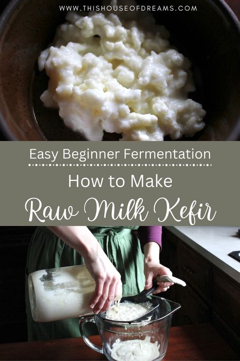 Learn how easy it is to make raw milk kefir from kefir grains in your own kitchen. This simple process can be done in just a few minutes and will provide you with endless milk kefir. Homemade Kefir, Milk Kefir Recipes, Milk Kefir Grains, Fermented Milk, Kefir Recipes, Kefir Grains, Healthy Probiotics, Milk Kefir, Fermentation Recipes