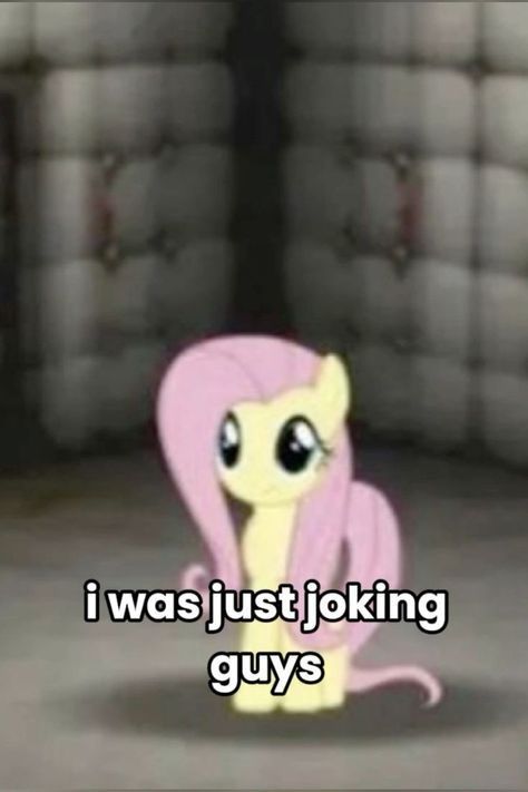 Mlp Reaction Pics, Proflies Pictures, Pony Videos, Desenho Tom E Jerry, Mlp Funny, Attitude Problem, Pony Pictures, Funny Pix, My Lil Pony