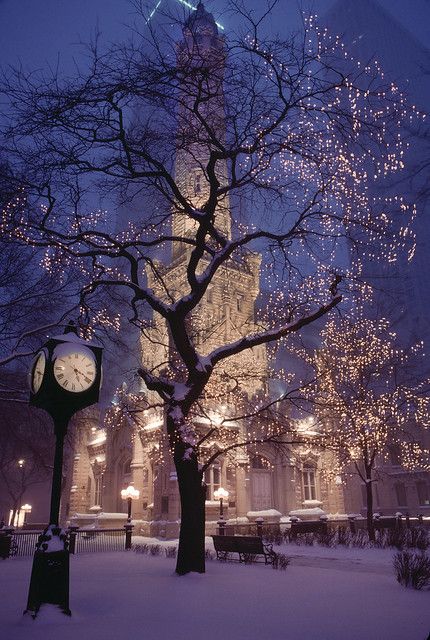 Chicago in Snow | Historic Water Tower Park, Chicago, 1989. … | Flickr Chicago Water Tower, Beautiful Winter Scenes, Winter Szenen, Christmas Feeling, Winter Wallpaper, Christmas Wonderland, Winter Scenery, Winter Pictures, Winter Wonder