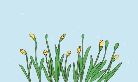 Flower animation on Behance Video Design Youtube, Frame By Frame Animation, Motion Design Animation, Animation Reference, Beautiful Gif, Plant Illustration, Animation Design, 2d Animation, Flower Illustration