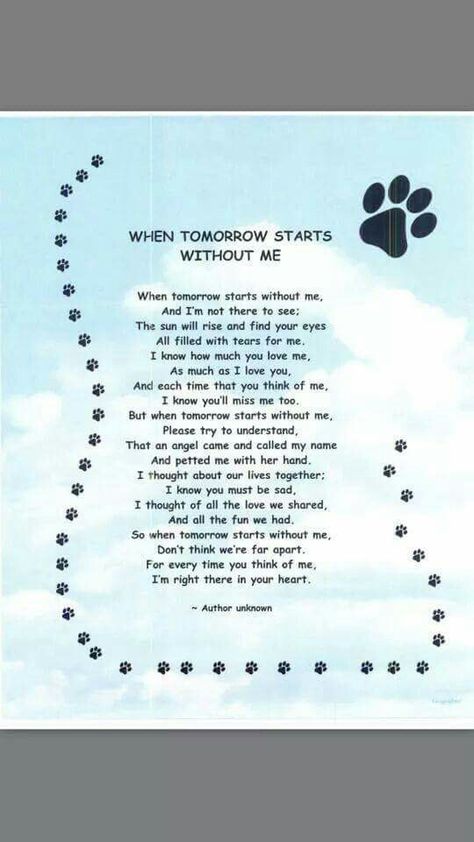 When tomorrow starts without me Quotes Heaven, Pet Quotes Dog, Dog Heaven Quotes, When Tomorrow Starts, Pet Poems, Dogs Quotes, Perro Shih Tzu, Miss My Dog, Pet Quotes