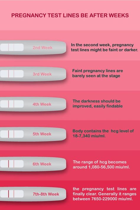 Should pregnancy test lines get darker week by week Pregnancy Test Kit Positive, Dpo Symptoms, Best Pregnancy Test, Pregnancy Kit, 5 Weeks Pregnant, Chemical Pregnancy, Pregnancy Questions, Hcg Levels, Pregnancy Facts