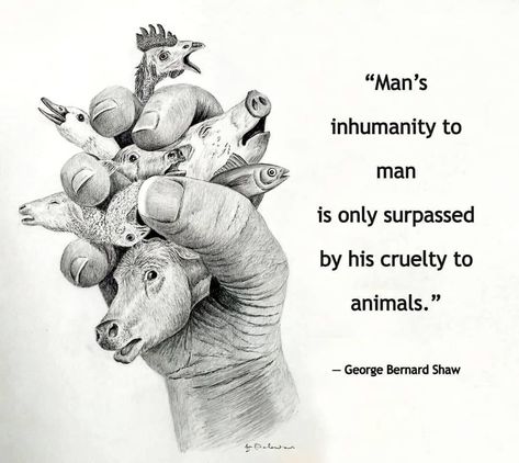 George Bernard Shaw Quotes, Vegan Memes, Animal Activism, Vegan Quotes, Why Vegan, Animal Liberation, Buddhist Quotes, George Bernard Shaw, Bernard Shaw