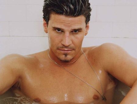 drool David Boreanaz Angel, Male Angels, Black Dagger Brotherhood, Seal Team, David Boreanaz, Buffy Angel, Most Handsome Men, Hot Actors, Buffy The Vampire