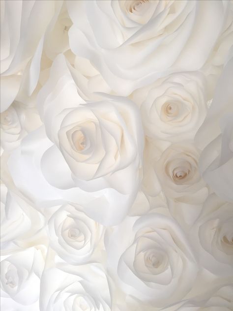 White Roses Background Aesthetic, Elegant White Aesthetic, White Astetic Background, White Roses Wallpaper, White Inspiration, White Love, White Images, 背景 シンプル, Phone Wallpaper Images