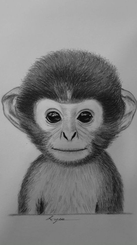 Cartoon Monkey Drawing Sketches, Drawing Animals Realistic, Monkey Drawing Realistic, Monkey Painting Easy, Animal Realistic Drawing, How To Draw A Monkey, Monkey Drawing Sketch, Animal Sketches Realistic, Drawing Of Monkey