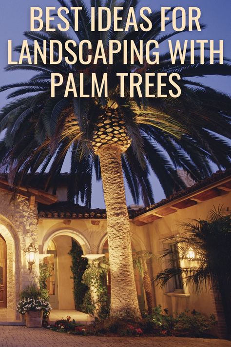 Landscaping With Palm Trees, Palm Trees Landscaping, Christmas Palm Tree, Landscape Borders, Arizona Landscape, Tropical Oasis, Landscape Ideas, Flowering Trees, Mulch