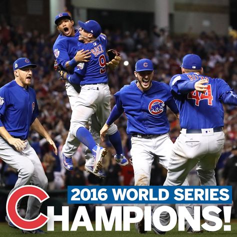 2016 World Series Champions Cubs Wallpaper, Baseball Dugout, Chicago Sports Teams, Chicago Cubs World Series, Indians Game, Mlb Postseason, Cubs Win, Mlb World Series, Go Cubs Go