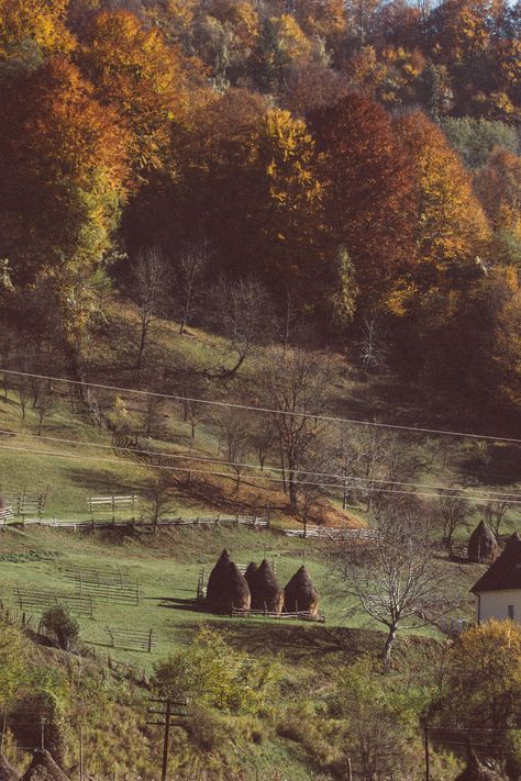 Romanian country life Romanian Aesthetic, Romanian Countryside, Romania Aesthetic, Romanian Village, European Aesthetic, Autumn In New York, Autumn Beauty, Country Life, Travel Aesthetic