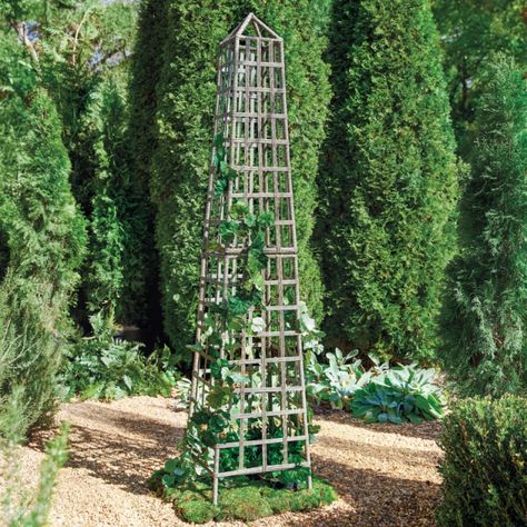 How to Start a Garden - How to Decorate Tall Trellis, Obelisk Trellis, Outdoor Urns, Flower Trellis, Outdoor Umbrella Stand, Garden Obelisk, Bunny Williams, Starting A Garden, Trellis Design