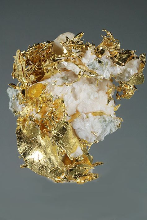 Olinghouse Mine Gold in Quartz Specimen - Click Image to Close Gold Specimens, Natural Gold Nugget, Minerals Crystals Rocks, Gold Prospecting, Pretty Rocks, Gold Mining, Gold Nugget, Natural Gold, Mineral Stone