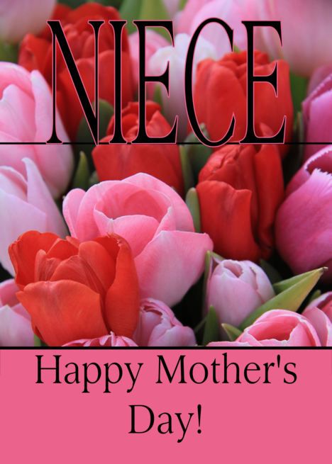 Niece Mixed pink tulips Happy Mother&rsquo;s Day card Mothers Day Scripture, Mothers Day Daughter, Happy Mothers Day Daughter, Mothers Day Wishes Images, Mothers Day Bible Verse, Mothers Day Songs, Mothers Day Wishes, Mother Day Quotes, Happy Mom Day