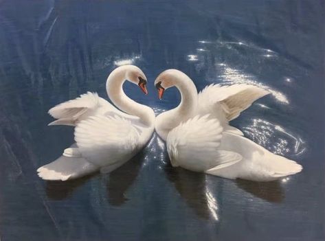 Swan Desktop Wallpaper, No Copyright Pictures, Swan Oil Painting, Swans Painting, Swan Decoration, Two Swans, Swan Art, Swan Painting, Swans Art