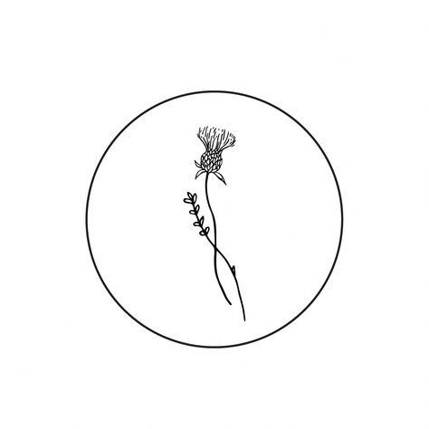 Thistle and flower logo icon designed by Amari Creative Thistle And Heather Tattoo, Fine Line Thistle Tattoo, Thistle Tattoo Black, Outlander Tattoos, Thistle Flower Tattoo, Wild Thistle, Scotland Tattoo, Scottish Thistle Tattoo, Scottish Tattoo