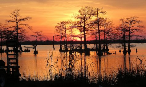 Venice, Louisiana. Bayou Sunset by Karl Agre, M.D. on Flickr Venice Louisiana, Swamp Sunset, New Orleans Bayou, Louisiana Swamp, Louisiana Bayou, Louisiana Art, American Road, River Road, American Road Trip