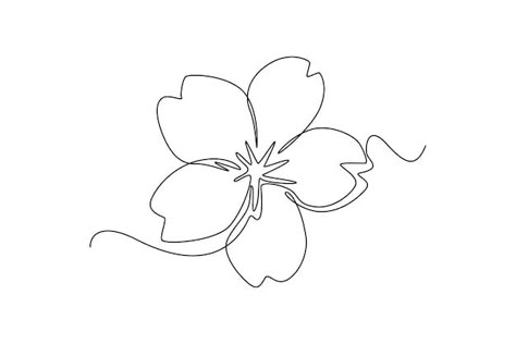 Cherry Blossom Single Flower, Cherry Blossom Simple Drawing, Clematis Flower Drawing, Single Cherry Blossom Tattoo, Cheery Blossoms Drawing, Cherry Blossom Line Drawing, Cherry Blossom Line Art, Blossom Line Art, One Line Drawing Flower