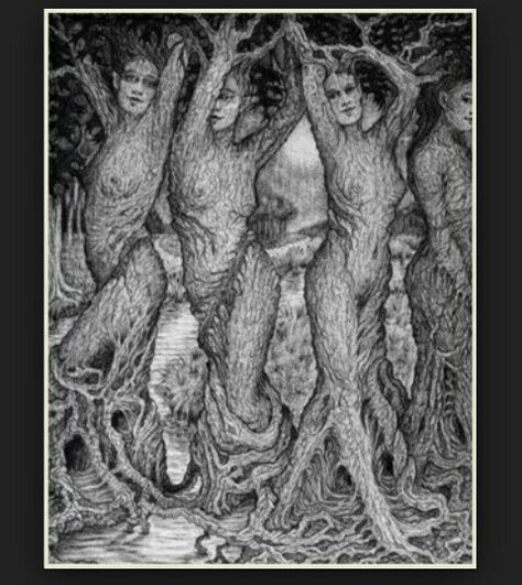 Dryads Tree Tattoo Men, Oak Tree Tattoo, Wood Nymphs, Ash Tree, Tree Spirit, Tree Woman, Greek Myths, Tree Tattoo, Oak Tree