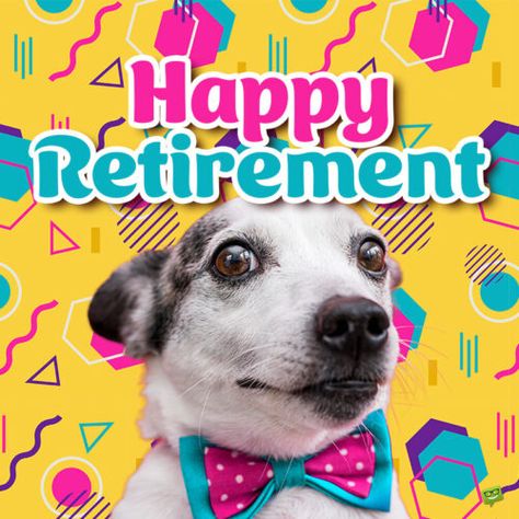 80 Funny Retirement One-Liners for Cards to Send Them Off Retirement Quotes Funny Hilarious, Funny Retirement Wishes, Happy Retirement Wishes, Favorite Coworker, Funny Retirement Cards, Retirement Messages, Retirement Quotes Funny, Retirement Congratulations, Congratulations On Your Retirement