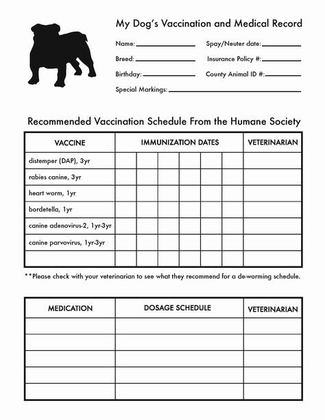 Puppy Shot Schedule, Dog Breeding Business, Record Template, Pet Health Record, Dog Shots, Printable Dog, Free Puppies, Yorkie Puppy, Pet Hacks