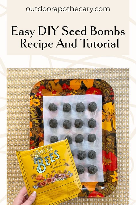 This easy seed bomb recipe will help you grow a thriving garden full of beautiful flowers. Learn how to make seed bombs with clay, compost, and seeds with our practical guide. #GardenDIY #SeedBombsRecipe #WildflowerGardening Seed Library, Asclepias Incarnata, Seed Balls, Swamp Milkweed, Asclepias Tuberosa, Backyard Beekeeping, Gardening Gifts, Gardening Inspiration, Herb Garden Design