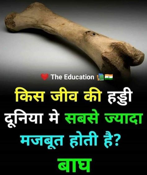 Fact Image, Top 3 Facts, General Knowledge For Kids, Youtube Facts, Psychological Facts Interesting, Facts In Hindi, Interesting Facts In Hindi, Fun Facts About Life, Interesting Science Facts