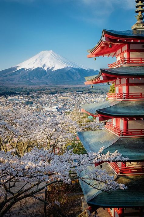 Gunung Fuji, Spring In Japan, Monte Fuji, Japan Landscape, Mont Fuji, Samurai Jack, Aesthetic Japan, Japanese Architecture, Mount Fuji