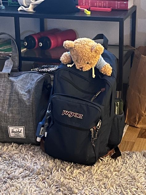 teddy bear inna bag Jansport Bag Aesthetic, Americana Aesthetic, School Bag Essentials, Chaotic Academia, Handbag Essentials, Junior Year, Jansport Backpack, Bags Aesthetic, North Face Backpack