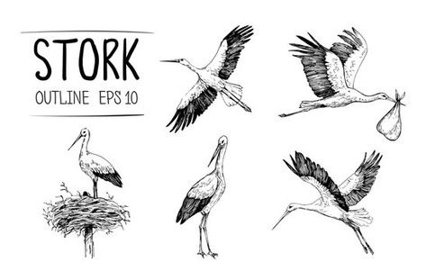 Stork Illustrations, Crane Drawing, Crane Tattoo, Japan Painting, Traditional Ink, Crane Bird, Vector Sketch, Hand Drawn Illustration, Tattoo Outline